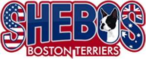 Shebos Logo