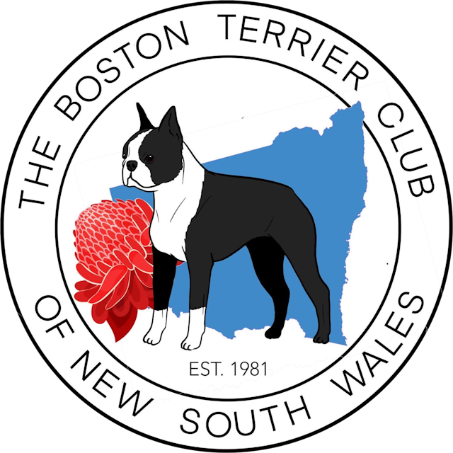 The Boston Terrier Club of NSW