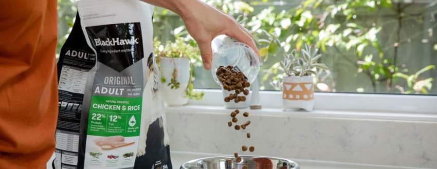 Choosing a Good Dog Food Black Hawk Large Image 11.jpg