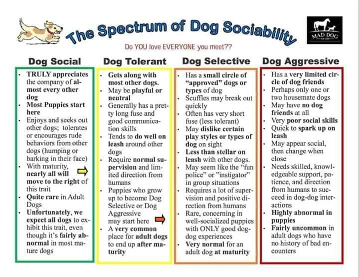 414819643 122140275398037592 8597989596607222582 N