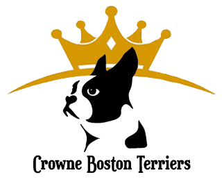 Crowne Boston Terriers Logo